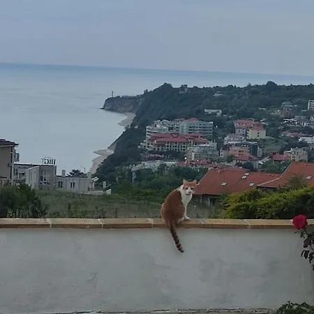 грейп хаус Ваканционна къща Бяла