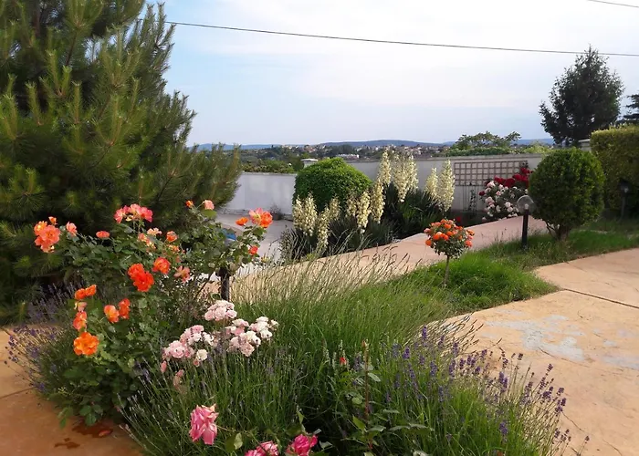 Semesterbostad Byala Grape House *