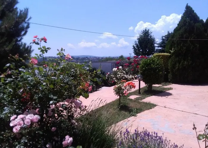 Byala Grape House Bjala