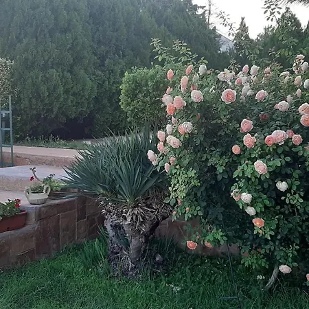 بيت للعطل Byala Grape House *