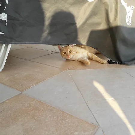 Byala Grape House بيت للعطل