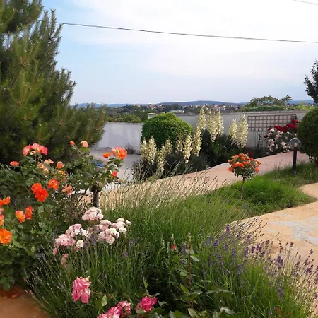 بيت للعطل Byala Grape House *