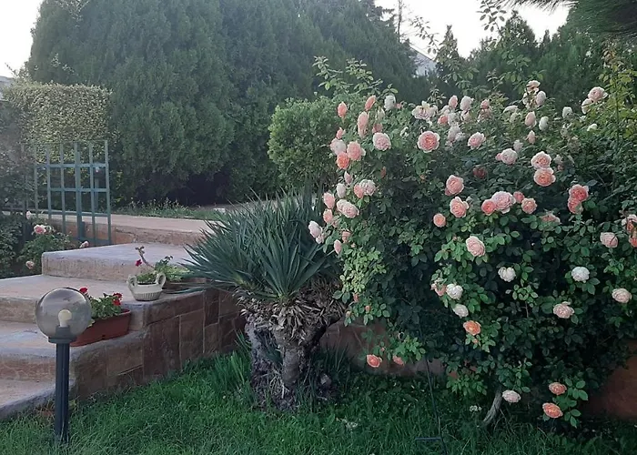 Semesterbostad Byala Grape House *