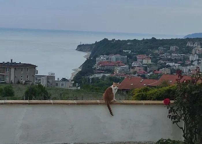 Byala Grape House Semesterbostad Bjala