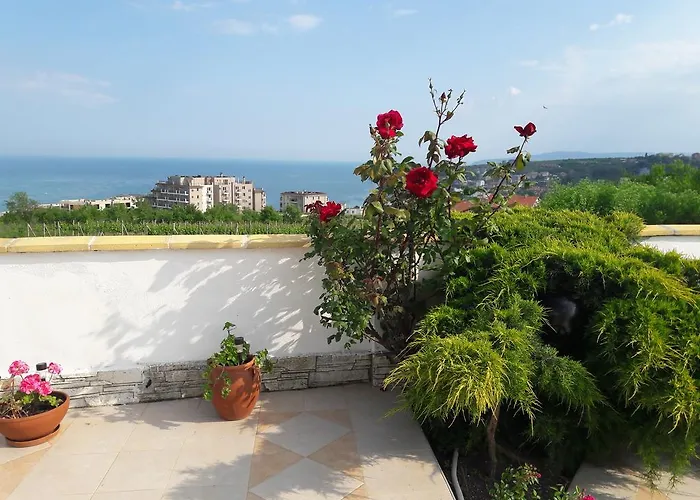 Semesterbostad Byala Grape House *