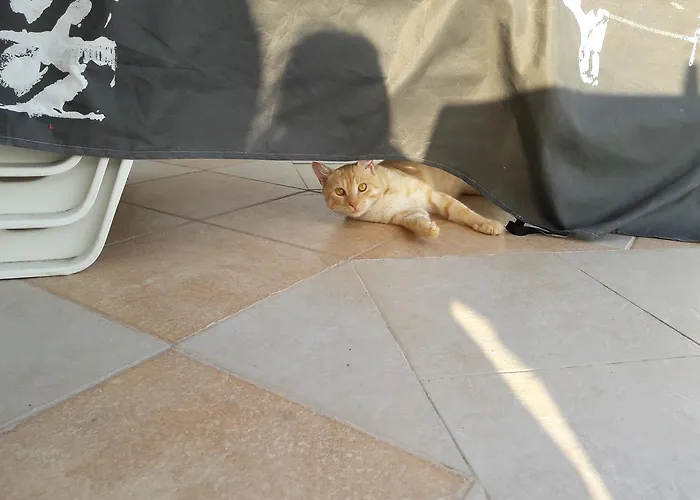 Byala Grape House Semesterbostad