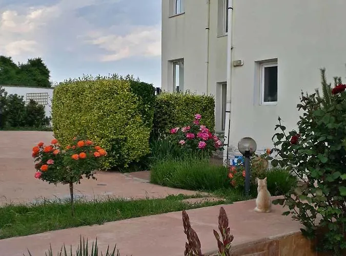 Semesterbostad Byala Grape House *